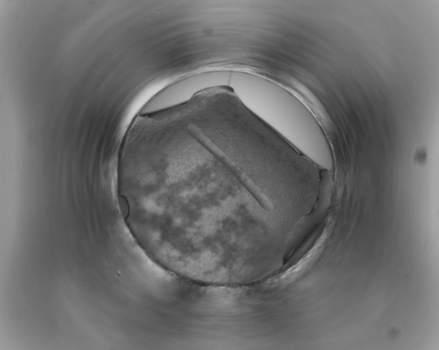 X0000091710812200709141118