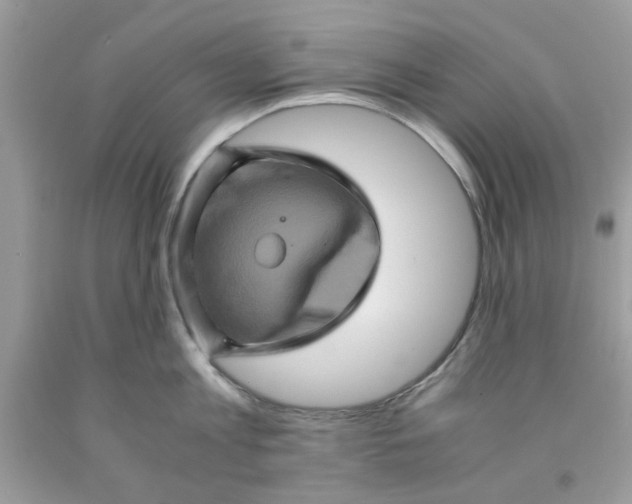 X0000091710813200709141118