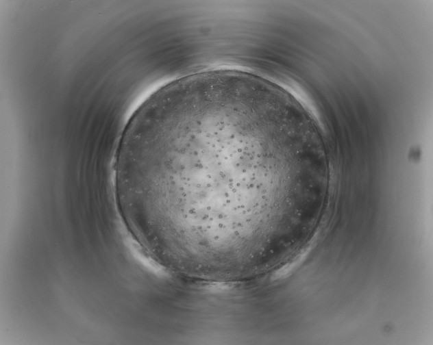 X0000091710814200709141118