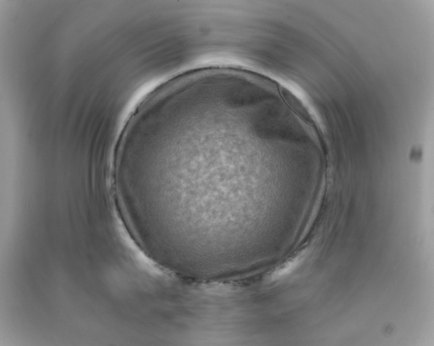 X0000091710815200709141118