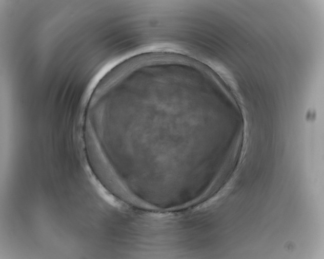 X0000091710816200709141118