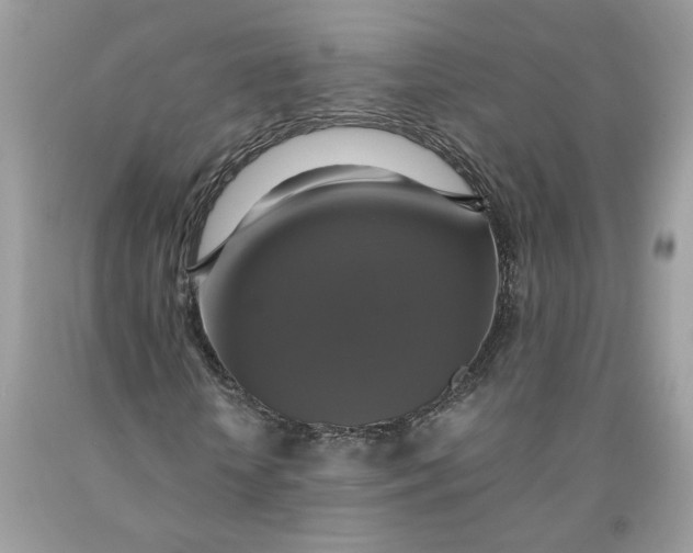 X0000091710818200709141118