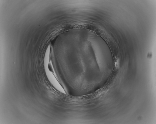 X0000091710819200709141118