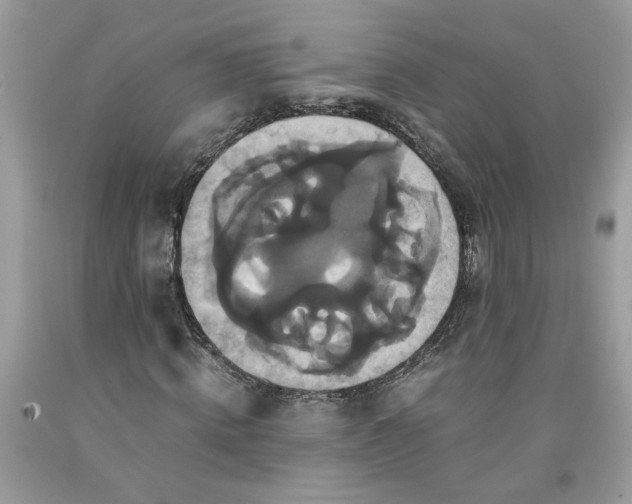 X0000091710820200709141118