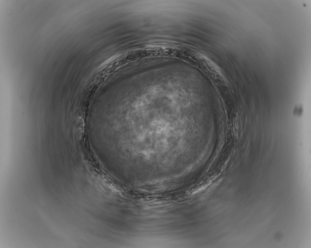 X0000091710821200709141118