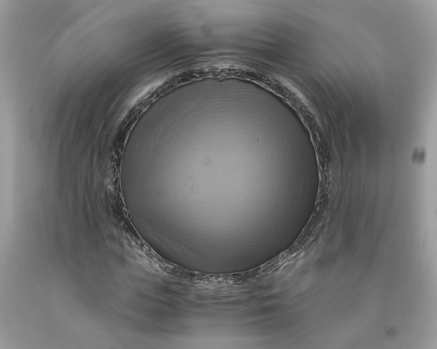 X0000091710823200709141118