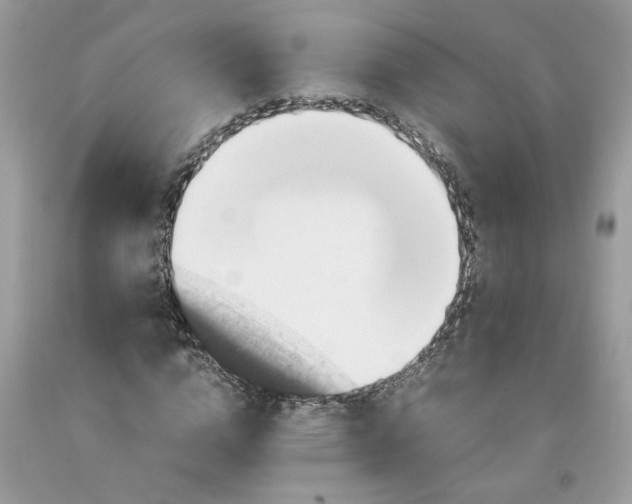 X0000091710824200709141118