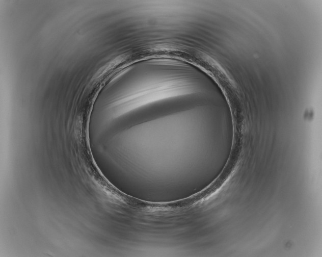 X0000091710825200709141118