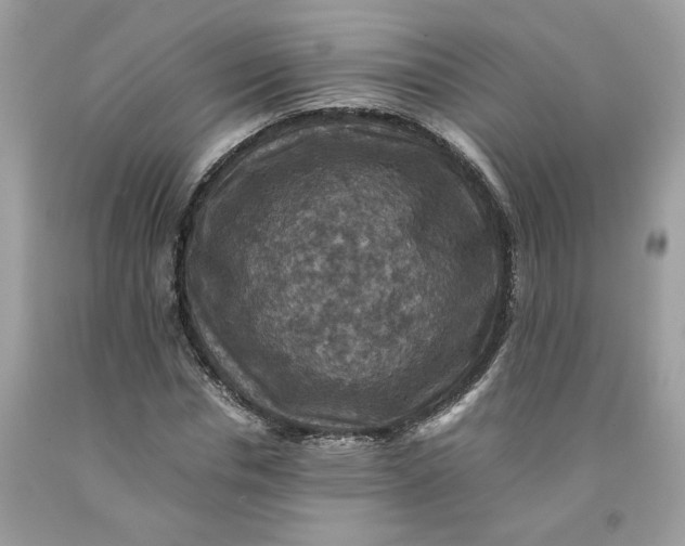 X0000091710826200709141118