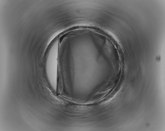 X0000091710829200709141118