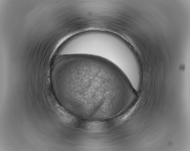 X0000091710830200709141118