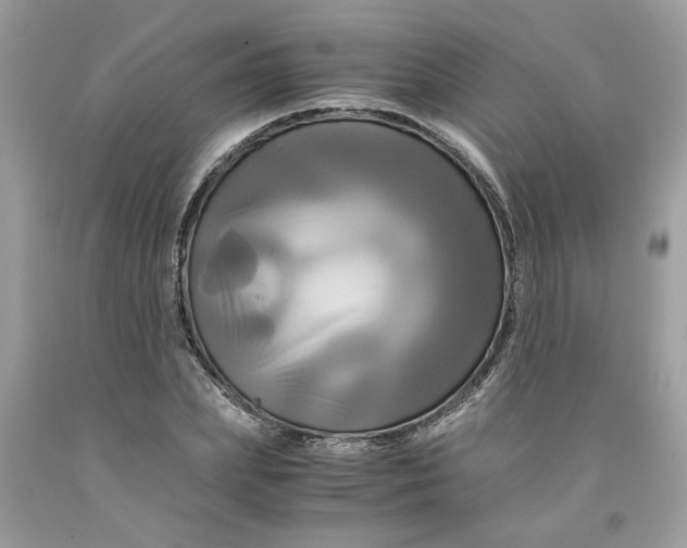 X0000091710831200709141118