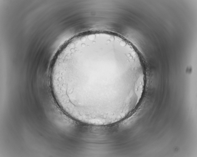 X0000091710832200709141118