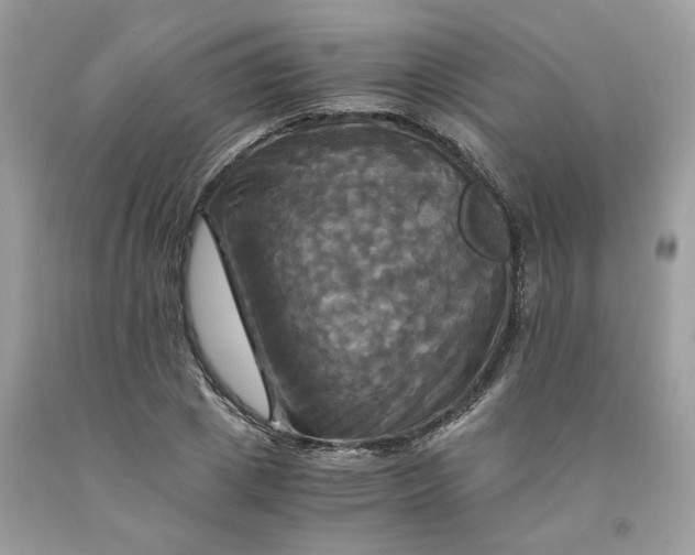 X0000091710833200709141118