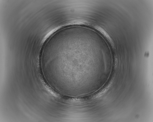 X0000091710834200709141118