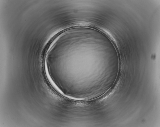 X0000091710835200709141118