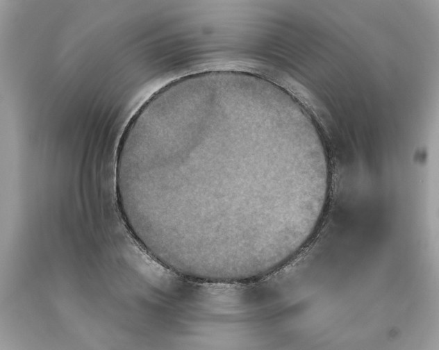 X0000091710836200709141118