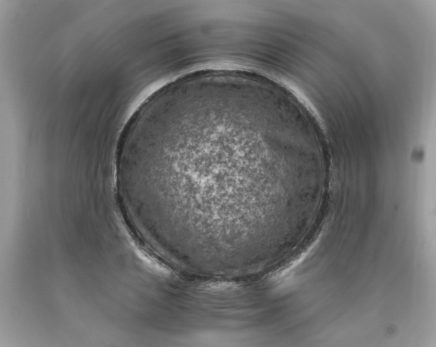 X0000091710837200709141118