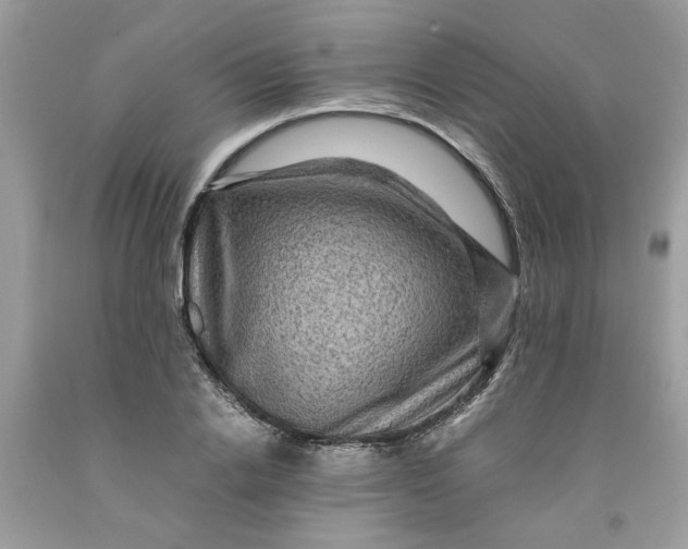 X0000091710838200709141118