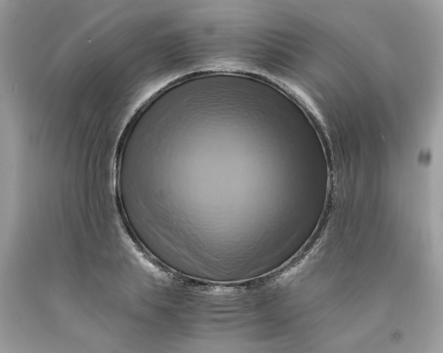 X0000091710839200709141118