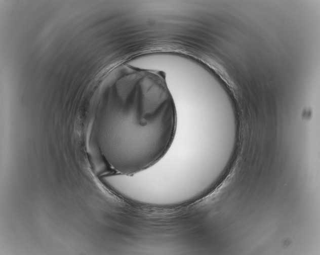 X0000091710841200709141118