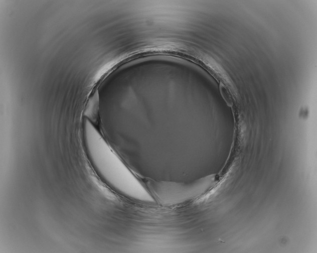 X0000091710842200709141118