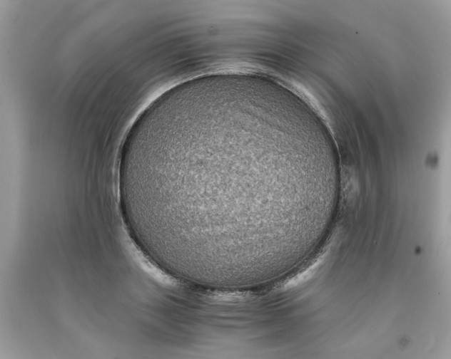 X0000091710843200709141118