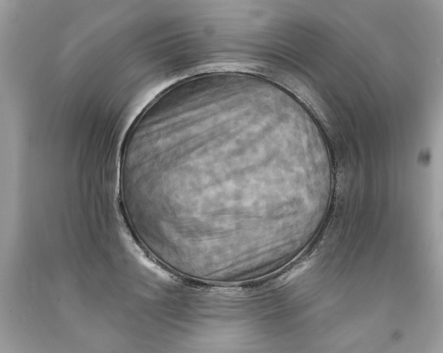 X0000091710844200709141118