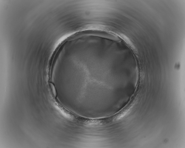 X0000091710846200709141118