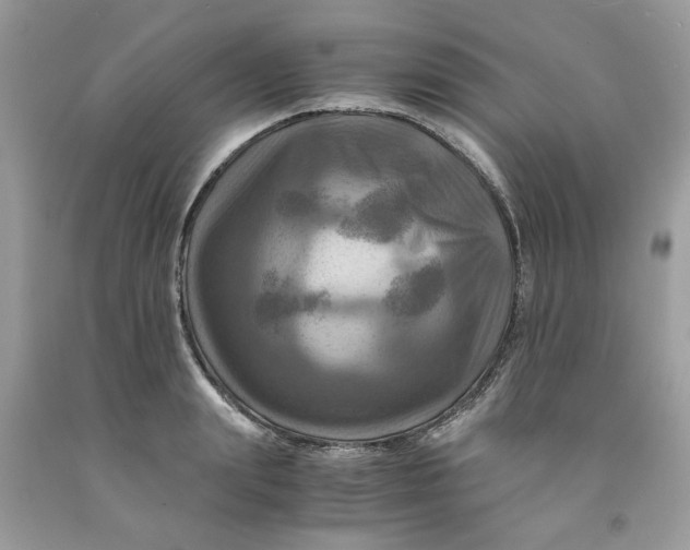 X0000091710847200709141118