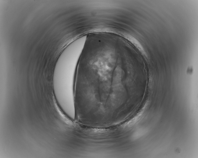 X0000091710849200709141118