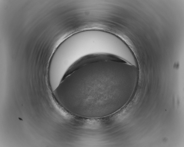 X0000091710850200709141118