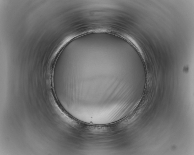 X0000091710851200709141118