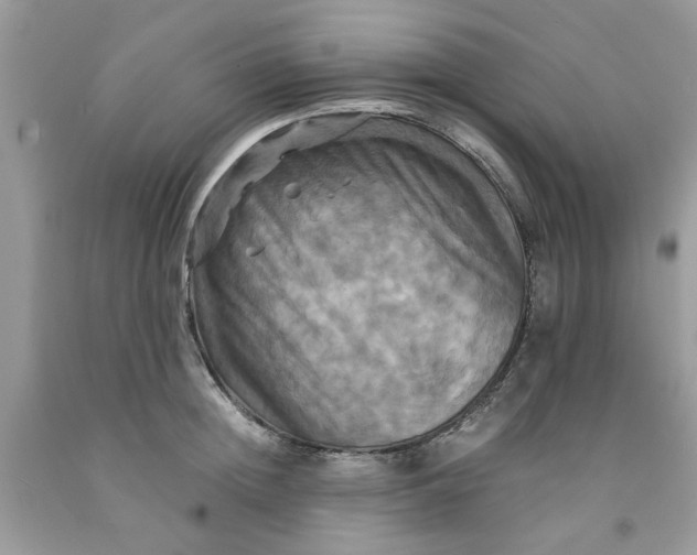 X0000091710852200709141118