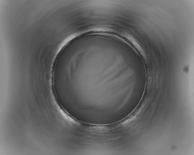 X0000091710853200709141118