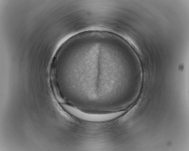 X0000091710854200709141118