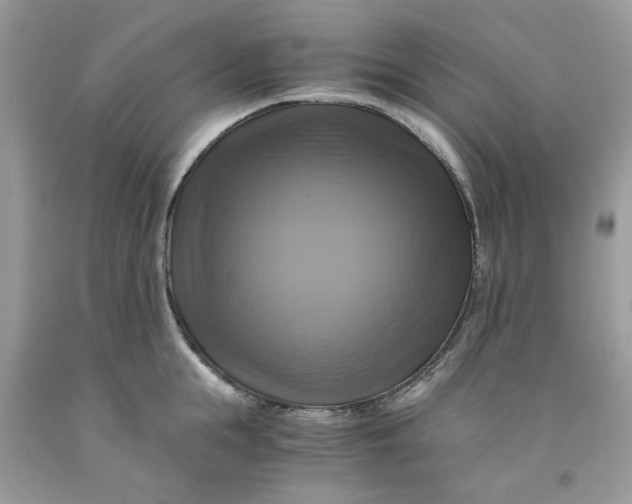 X0000091710855200709141118