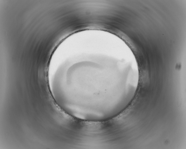 X0000091710856200709141118