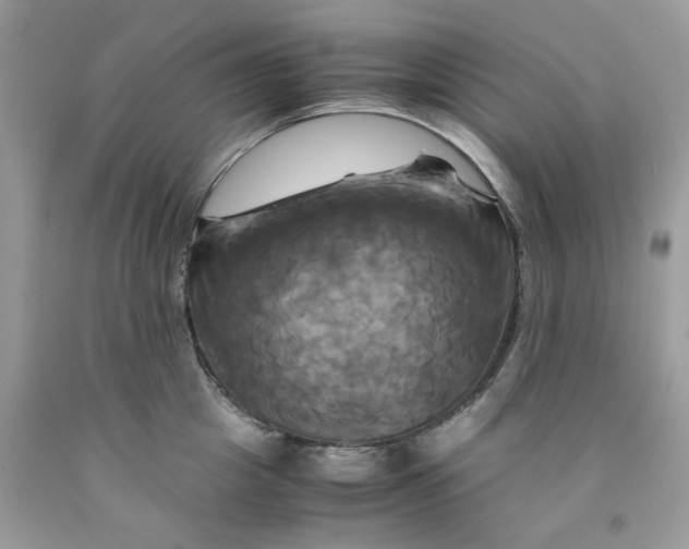 X0000091710857200709141118