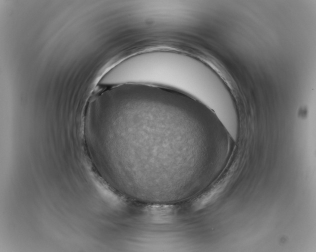 X0000091710858200709141118