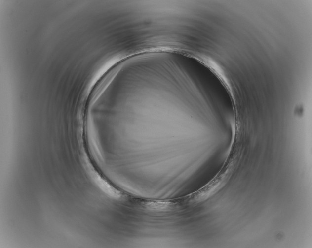 X0000091710859200709141118