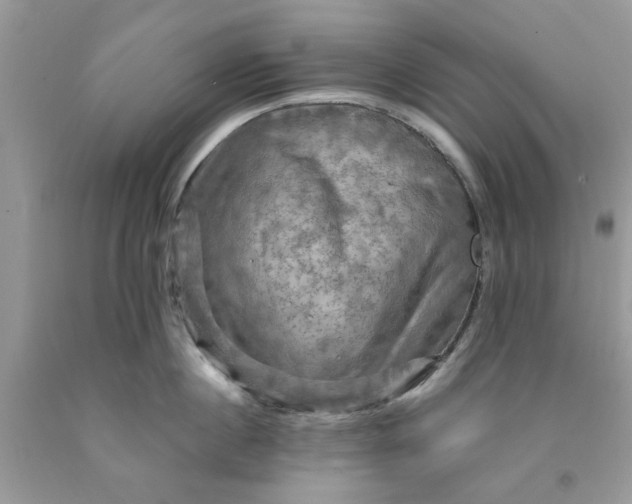 X0000091710860200709141118