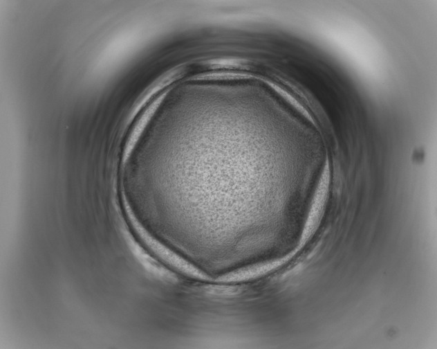 X0000091710861200709141118