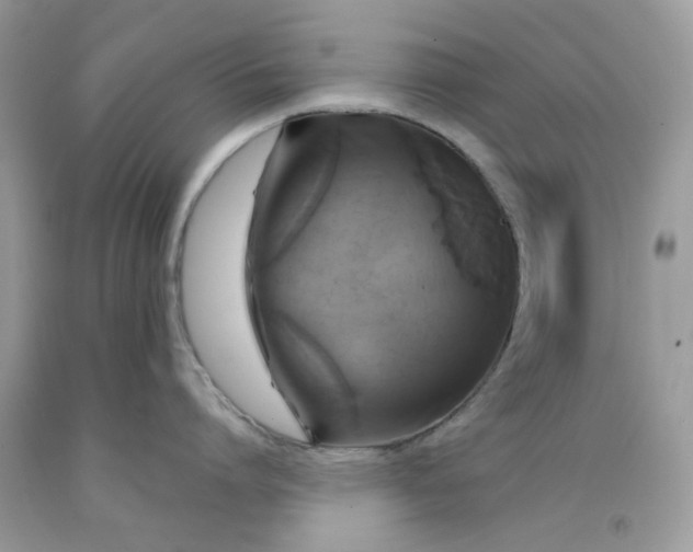 X0000091710864200709141118