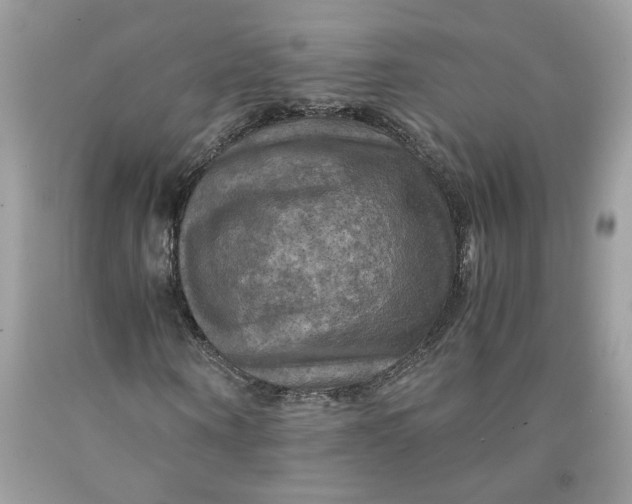 X0000091710866200709141118