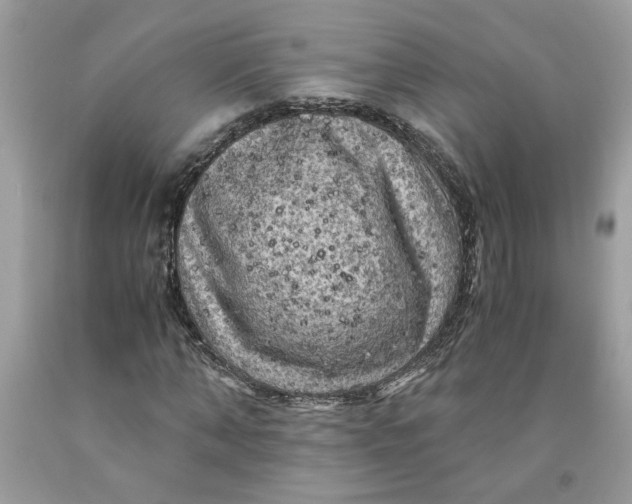 X0000091710870200709141118