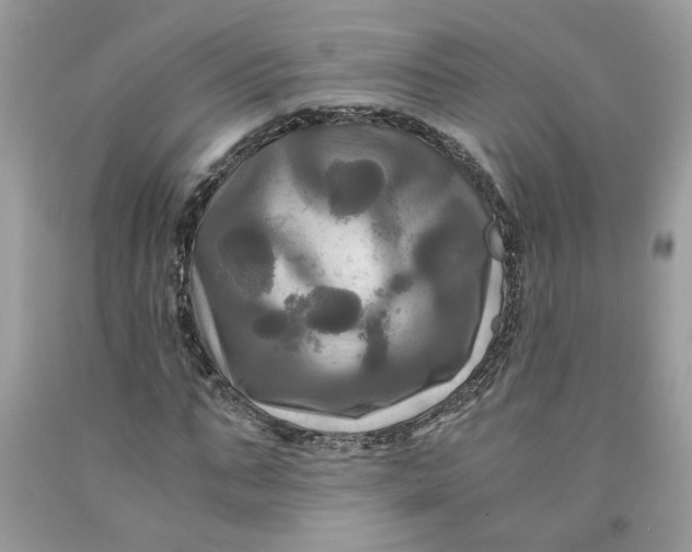 X0000091710871200709141118