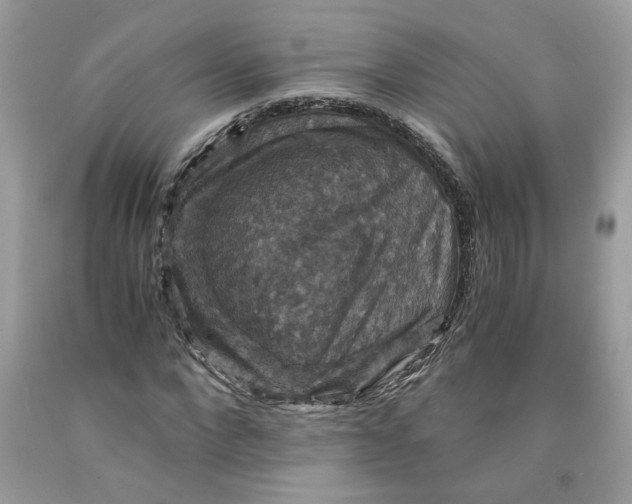 X0000091710872200709141118