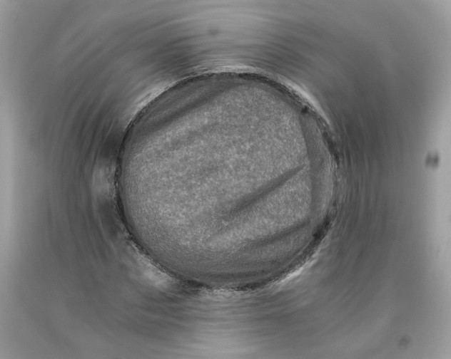 X0000091710873200709141118