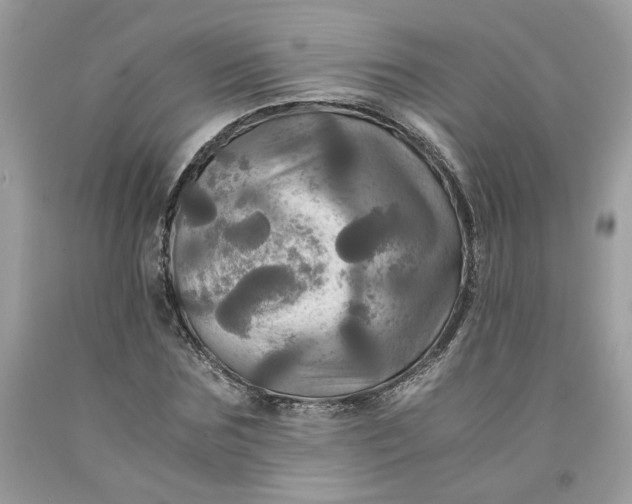 X0000091710875200709141118